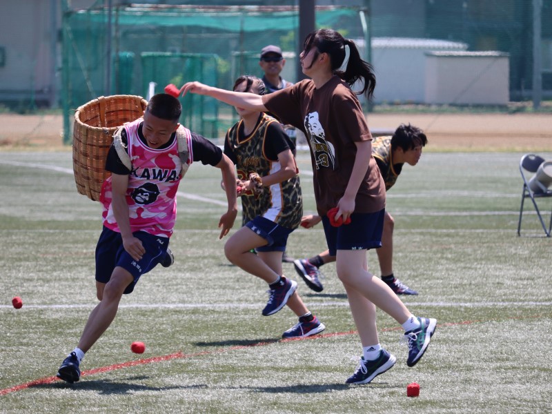 追いかけ玉入れ