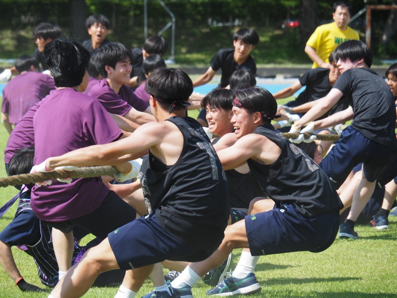 綱取り